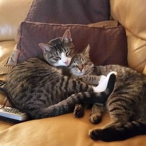 Meet your Posher, Lou